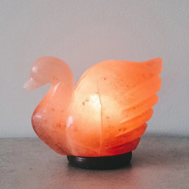 The Serene Swan