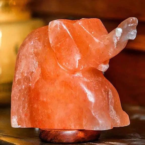 The Mighty Elephant